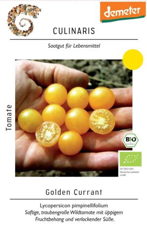 golden currant, gelb, wildtomate, Lycopersicon pimpinellifolium, bio cocktailtomate, cherrytomate, snacktomate, Tomate samen saatgut culinaris freiland alte sorte kompost&liebe kaufen online shop bestellen