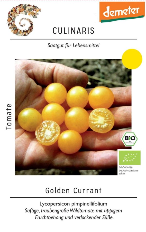 golden currant, gelb, wildtomate, Lycopersicon pimpinellifolium, bio cocktailtomate, cherrytomate, snacktomate, Tomate samen saatgut culinaris freiland alte sorte kompost&liebe kaufen online shop bestellen
