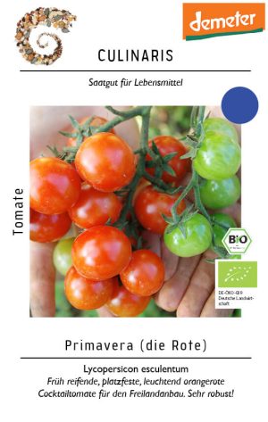 primavera, bio cocktailtomate, freiland, buschtomate, snacktomate, Tomate samen saatgut culinaris freiland alte sorte kompost&liebe kaufen online shop bestellen