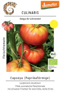 capseya, rot, rosarot, fleischtomate, bio Salattomate Tomate samen saatgut culinaris freiland alte sorte kompost&liebe kaufen online shop bestellen