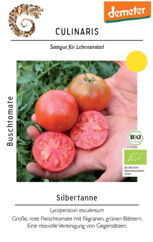 silbertanne, rot, fleischtomate, balkon, bio Salattomate Tomate samen saatgut culinaris freiland alte sorte kompost&liebe kaufen online shop bestellen