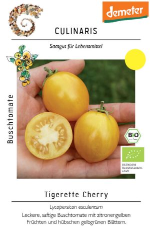 tigerette cherry, bio cocktailtomate, balkon, buschtomate, snacktomate, Tomate samen saatgut culinaris freiland alte sorte kompost&liebe kaufen online shop bestellen