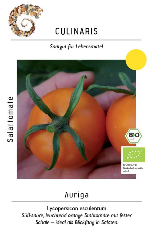 auriga, bio tomate, salattomate, Tomate samen saatgut culinaris freiland alte sorte kompost&liebe kaufen online shop bestellen