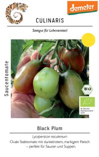 black plum, bio tomate, salattomate, Tomate samen saatgut culinaris freiland alte sorte kompost&liebe kaufen online shop bestellen