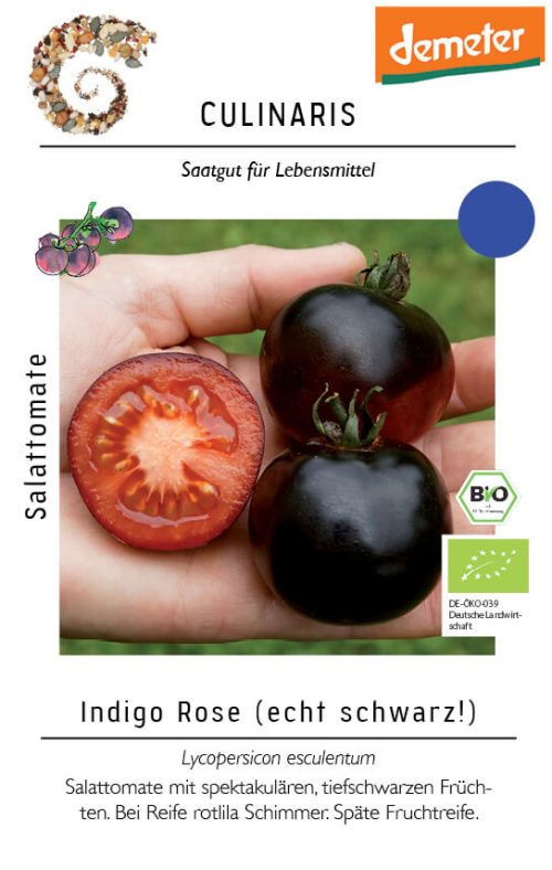 indigo rose, bio Salattomate Tomate samen saatgut culinaris freiland alte sorte bioverita prospeciepara kompost&liebe kaufen online shop bestellen