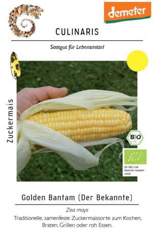 golden bantam, speisemais zuckermais freiland rotSaatgut,Bio culinaris kompost und liebe kaufen alte sorten samenfest online shop garten selbstversorger