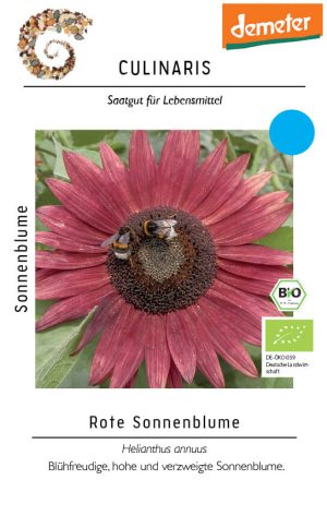 rote sonnenblume Culinaris blumen stauden Insektenweide Bienenweide einjährige blumen pro specie rara samen bio saatgut sativa kompost&liebe kaufen online shop bestellen demeter