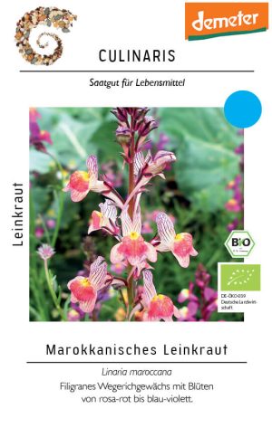 marokkanisches leinkraut blumen Culinaris samen bio saatgut sativa kompost&liebe kaufen online shop bestellen demeter