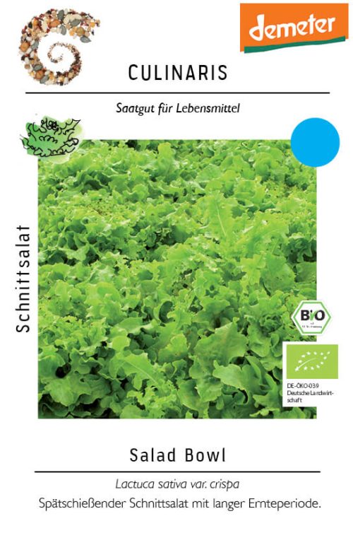 Salad Bowl Schnittsalat culinaris Saatgut,Bio Sativa kompost und liebe kaufen alte sorten samenfest online shop garten selbstversorger