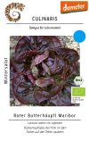 Roter Butterhäuptl (Maribor) culinaris Winterkopfsalat Saatgut,Bio Sativa kompost und liebe kaufen alte sorten samenfest online shop garten selbstversorger