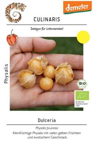 dulceria, physalis, bio saatgut, culinaris, samenfest, kaufen, kompost&liebe, freiland, vorzucht