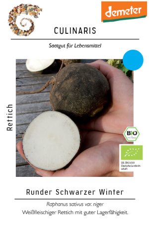 runder schwarzer winter Rettich Saatgut,Bio Culinaris kompost und liebe kaufen alte sorten samenfest online shop garten selbstversorger