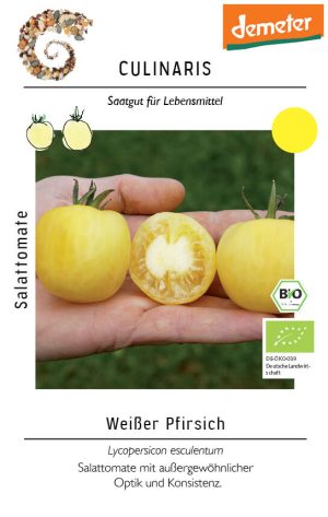 weisser pfirsich, bio tomate, salattomate, Tomate samen saatgut culinaris freiland alte sorte kompost&liebe kaufen online shop bestellen