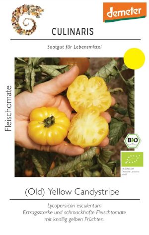 yellow candystripe, gelb, fleischtomate, bio Salattomate Tomate samen saatgut culinaris freiland alte sorte kompost&liebe kaufen online shop bestellen