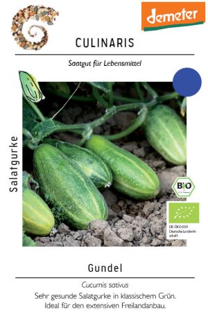 Gundel, salatgurke, snackgurke, grün, spritzig, frisch, lecker, bio, samenfestes saatgut, bei Kompost&Liebe kaufen