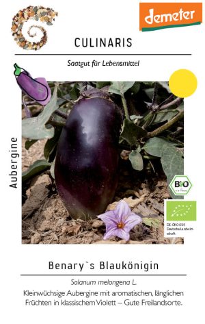 Benarys Blaukönigin, Benary´s Blaukönigin, Benary`s, aubergine, bio, Melanzani culinaris, saatgut, lila, große früchte, freiland, Auberginensamen kaufen von Kompost&Liebe