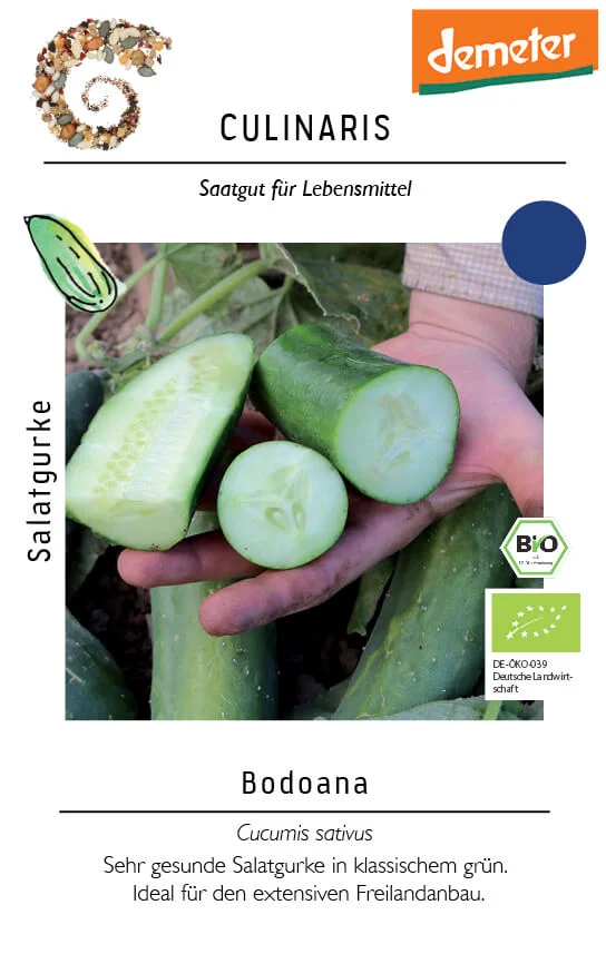 bodoana, salatgurke, snackgurke, grün, spritzig, frisch, lecker, bio, samenfestes saatgut, bei Kompost&Liebe kaufen