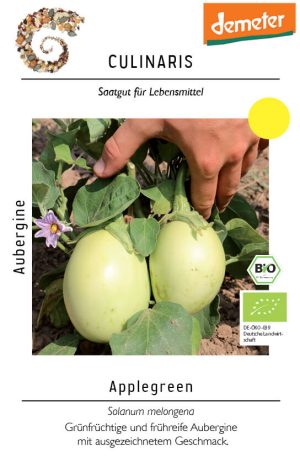 applegreen, aubergine, bio, culinaris, saatgut, grün, große früchte, freiland, Auberginensamen kaufen von Kompost&Liebe