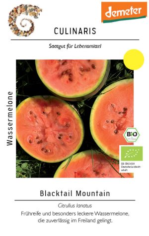 blacktail mountain, wassermelone, bio saatgut, samen, culinaris, freiland, anbau, kaufen bei kompost&liebe