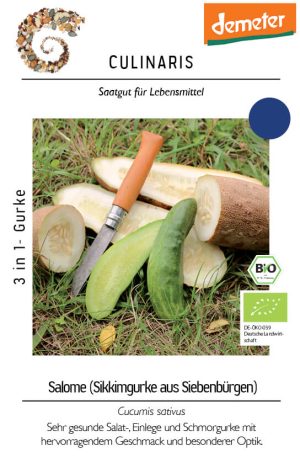 salome, siebenbürgen, salatgurke, snackgurke, grün, spritzig, frisch, lecker, bio, samenfestes saatgut, bei Kompost&Liebe kaufen