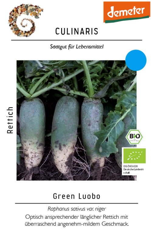Green Luobo Rettich Saatgut,Bio Culinaris kompost und liebe kaufen alte sorten samenfest online shop garten selbstversorger