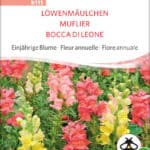 Löwenmäulchen , bio samen, saatgut , kaufen, sativa, biosamen