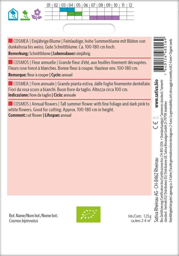 Cosmea – Bild 2