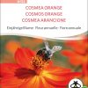 cosmea orange Insektenweide Bienenweide einjÃ¤hrige blumen pro specie rara samen bio saatgut sativa kompost&liebe kaufen online shop