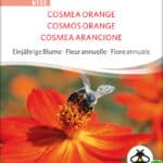 cosmea orange Insektenweide Bienenweide einjährige blumen pro specie rara samen bio saatgut sativa kompost&liebe kaufen online shop