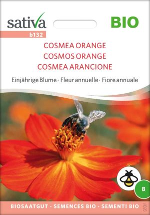 cosmea orange Insektenweide Bienenweide einjährige blumen pro specie rara samen bio saatgut sativa kompost&liebe kaufen online shop