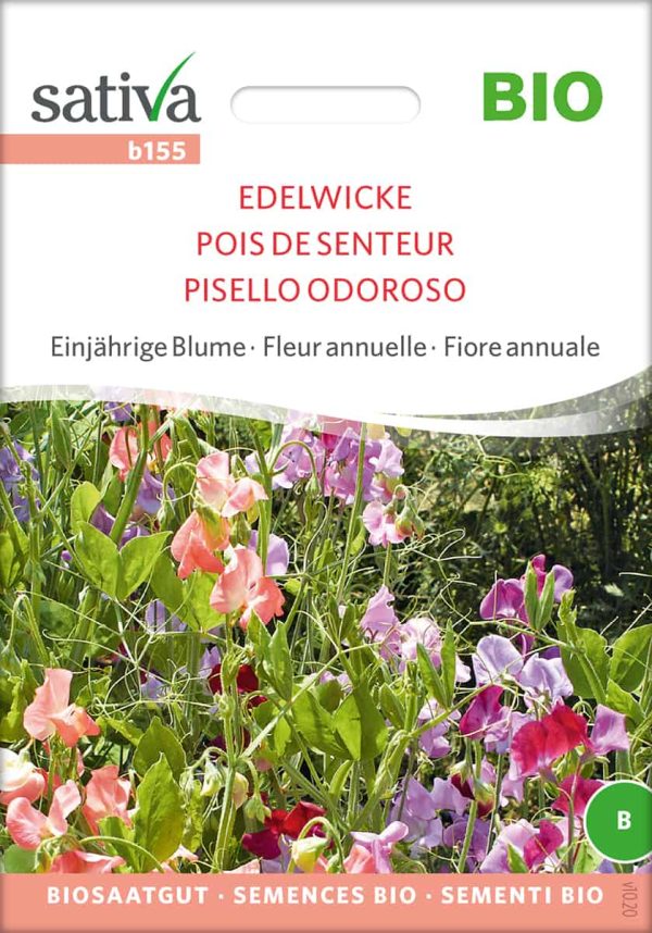 Edelwicke