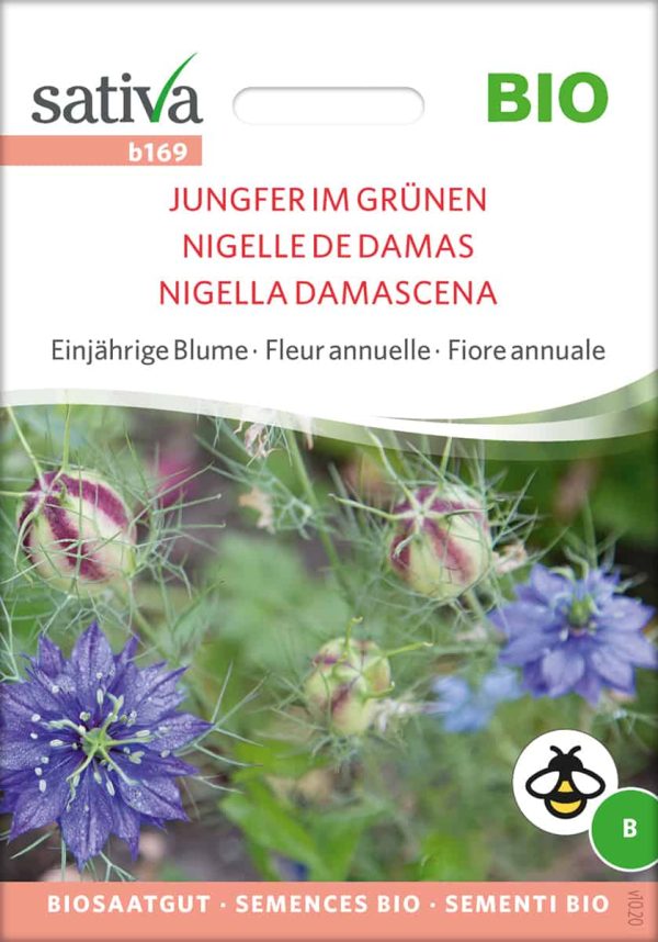 Jungfer im Grünen