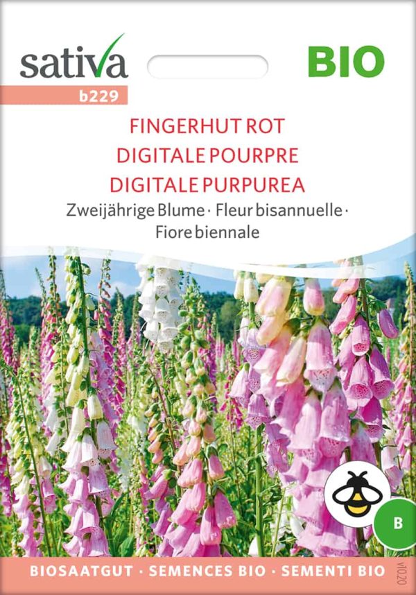 fingerhut--rot-blumen-bio-samen-saatgut