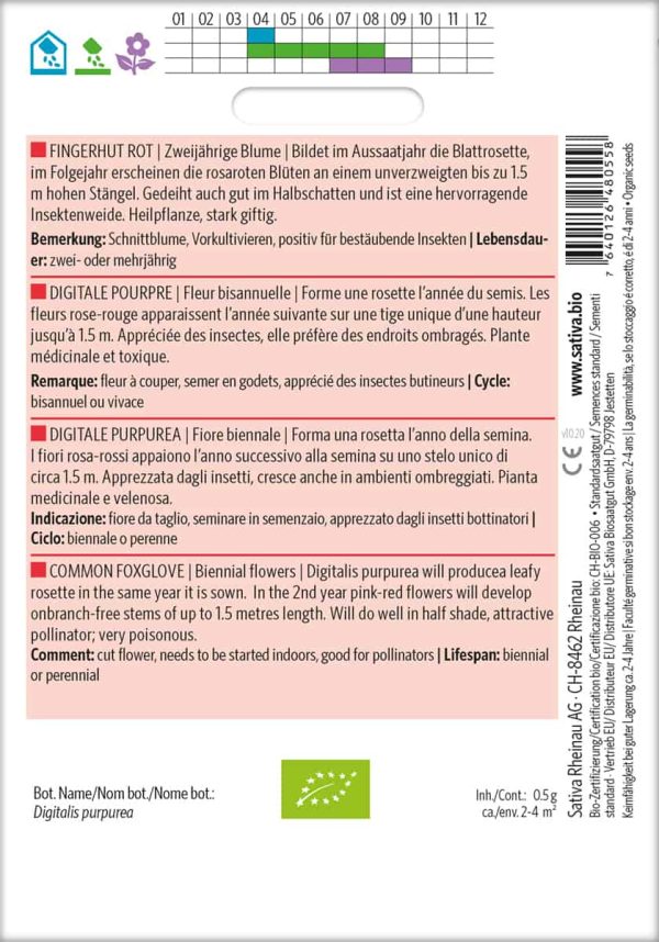 Fingerhut Rot – Bild 2
