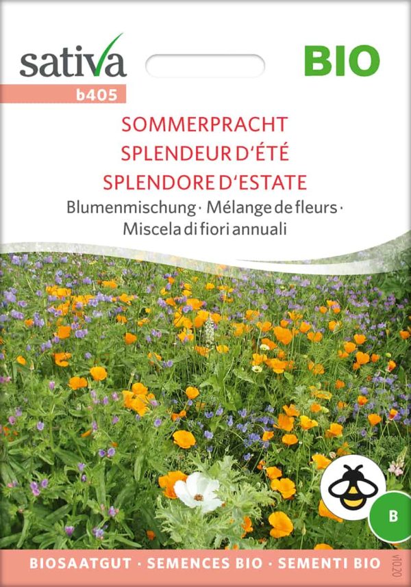 Sommerpracht