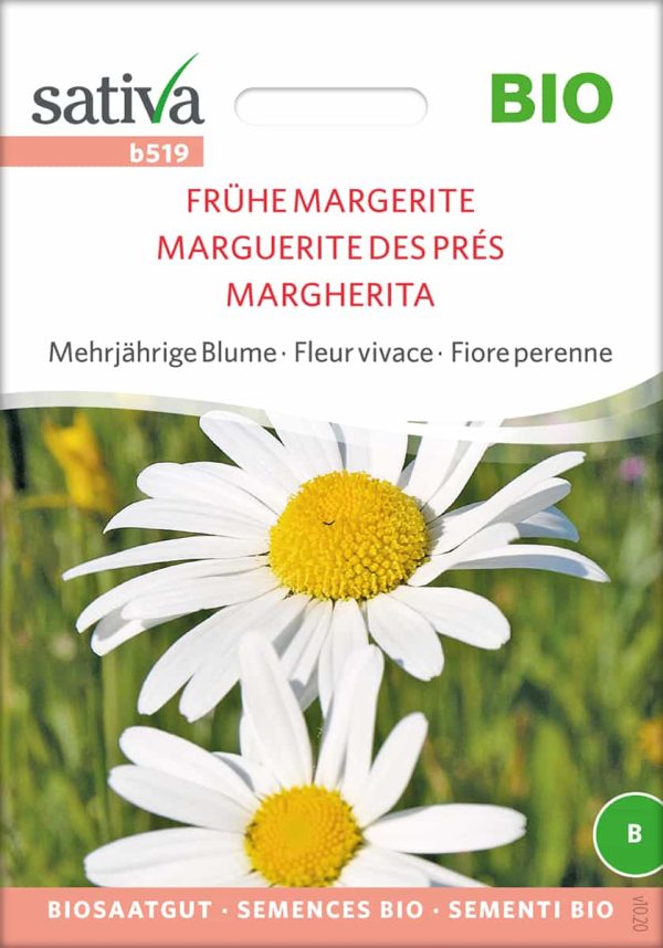 Frühe Margerite