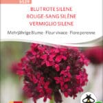 Blutrote Silene, Samen, Saatgut, Bio, Blume