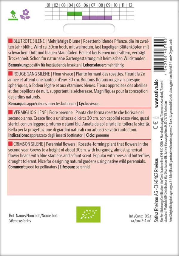 Blutrote Silene – Bild 2