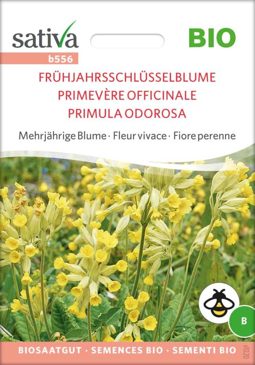 Kompost&Liebe | samenfestes BIO-Saatgut