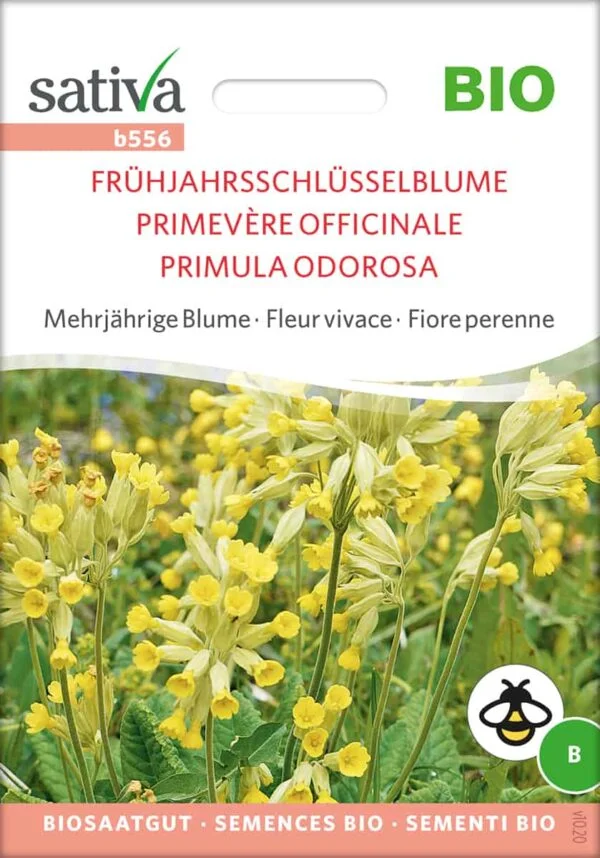 Frühjahrs-Schlüsselblume