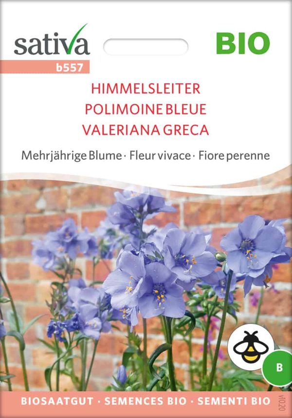 Himmelsleiter