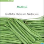 Marona, buschbohne , bohne , bio samen, saatgut, kaufen