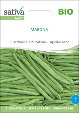 Marona, buschbohne , bohne , bio samen, saatgut, kaufen