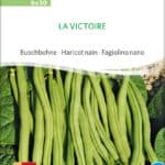 La Victoire, Buschbohne, alte sorte, bohne , bio samen, saatgut, kaufen, sativa