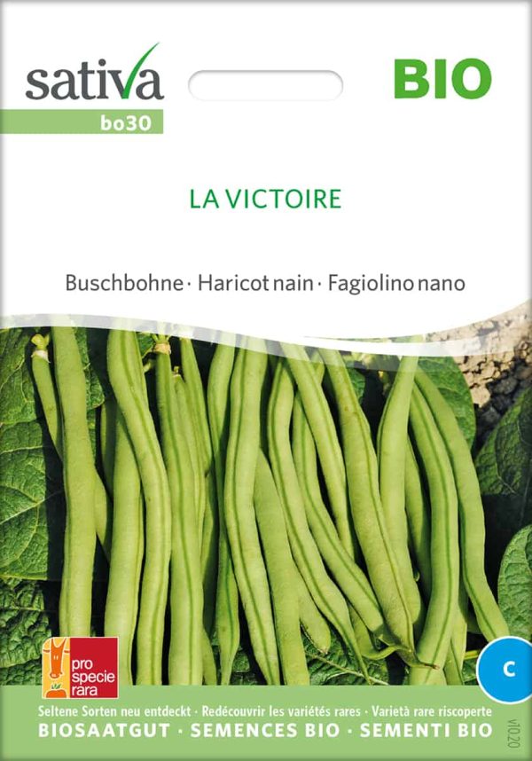 La Victoire, Buschbohne, alte sorte, bohne , bio samen, saatgut, kaufen, sativa