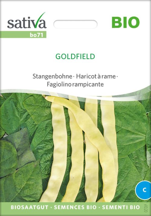 Goldfield, Stangenbohne, pro specie rara samen bio saatgut sativa kompost&liebe kaufen online shop