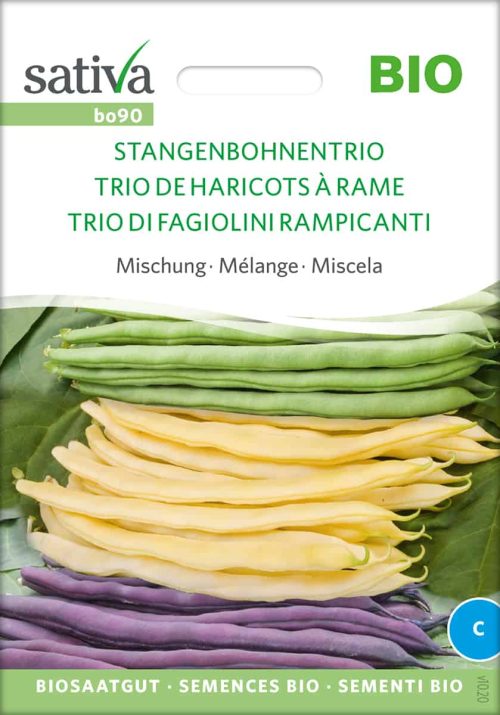 Stangenbohnentrio, Stangenbohne, pro specie rara samen bio saatgut sativa kompost&liebe kaufen online shop