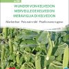 wunder-von-kelvedon-markerbse-bio-samen