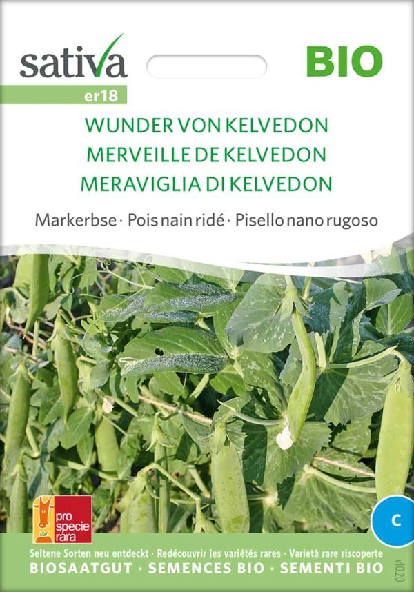 wunder-von-kelvedon-markerbse-bio-samen