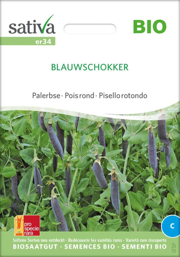 Blauwschokker
